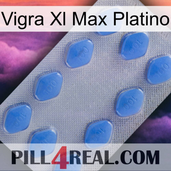 Vigra Xl Max Platinum 21.jpg